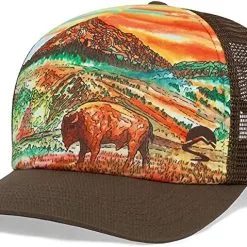 Sunday Afternoons Artist Series Trucker Hats -CLUBS Sales Store BisonSunset