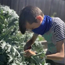 Sunday Afternoons Kids UVShield Cool Gaiter SPF 50+ -CLUBS Sales Store Gaiter Kids2