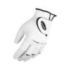 Hireko Intech Synergy Men's Golf Gloves